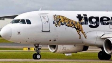 Waduh, Tiger Air Mandala Kurangi Operasi. Rute Penerbangan Ini Disetop